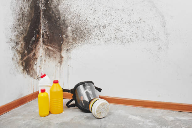 Water Damage Restoration in North York, PA