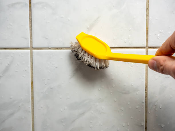 Best Same-Day Mold Removal  in North York, PA