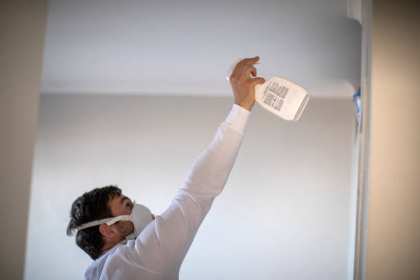 Best Mold Removal Process  in North York, PA