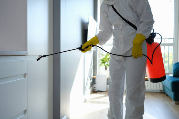 Best Certified Mold Removal  in North York, PA